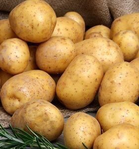 Potato - Versatile & Nutritious (500g to 2 kg)
